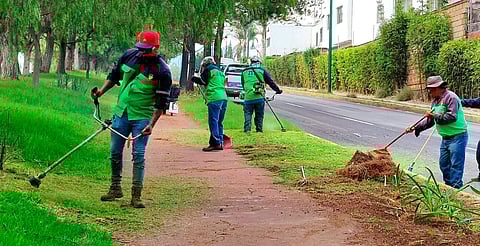 Se busca preservar la buena imagen, así como de garantizar la seguridad de peatones y automovilistas