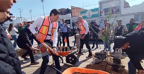 Presenta ayuntamiento moreliano programa "Bienvenido Arbolito"