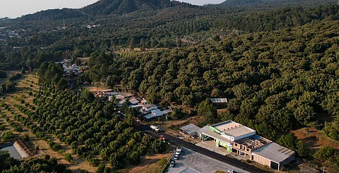 SCOP rehabilita camino para beneficio de 37 mil habitantes de región Purépecha