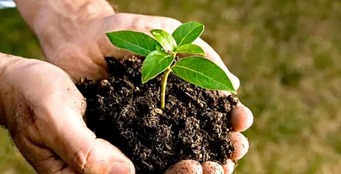 La banqueta debe tener 1.20 centímetros de ancho como mínimo