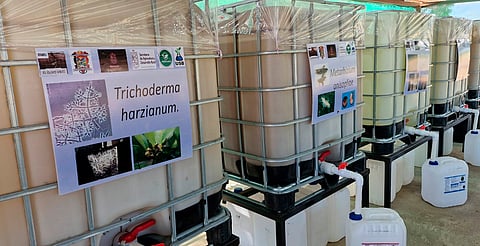 Nuevas biofábricas en Michoacán impulsan cultivos más sanos y nutritivos