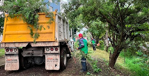 Gobierno Municipal y vecinos realizan limpia en El Vergel
