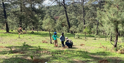Inicia en Morelia campaña estatal de reforestación “Sin árboles no hay agua”