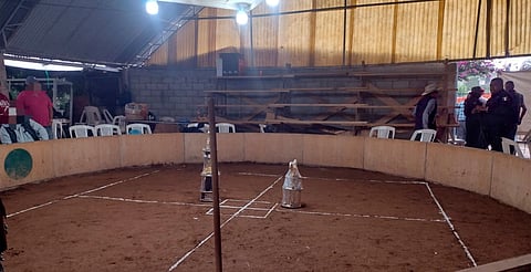 Desactivan palenque clandestino en Zitácuaro; habría más de 100 asistentes