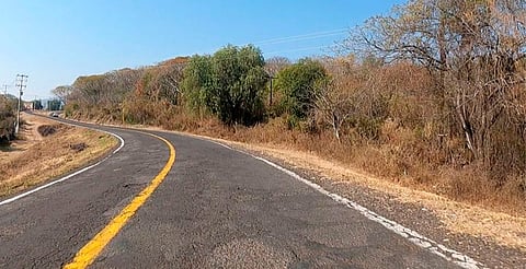 Estado de carreteras por lluvias no afecta llegada de turismo en Morelia: Thelma Aquique