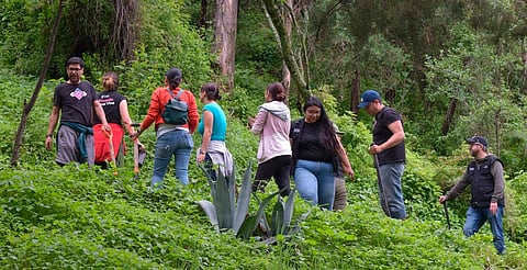Gobierno estatal reforesta el Parque Francisco Zarco, en Morelia