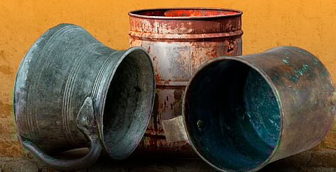 Aplica esta estrategia para evitar la reproducción del mosco transmisor del dengue