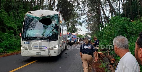 Árbol cae sobre un autobús en la libre Uruapan-Pátzcuaro; hay 2 heridos