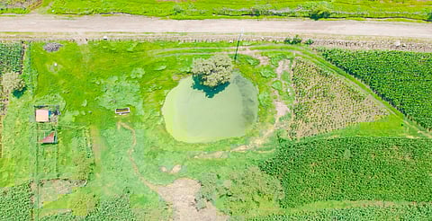 Construye Sader bordos para abrevadero en Tacámbaro
