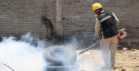 Michoacán continúa con acciones para combatir el dengue