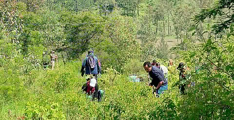 Reforestan cerro Blanco, área protegida para la conservación del lago de Pátzcuaro