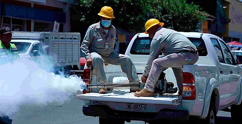 Sigue esta sencilla estrategia para prevenir el dengue en casa