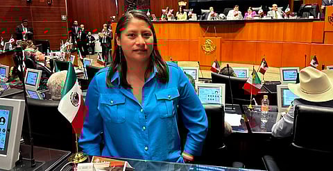 Designan a Celeste Ascencio presidenta de la Comisión de Derechos Humanos en el Senado