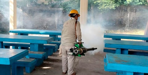 Más de 980 mil acciones realizadas durante 2024 contra el dengue: SSM