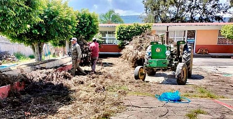 Así puedes reportar a la SEE daños en escuelas por lluvias