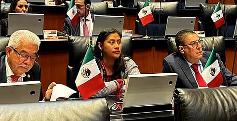 Llama Celeste Ascencio al Congreso de Michoacán a dar su aval a reforma