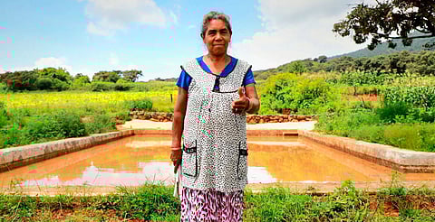 Las familias ya no dependerán de pipas para actividades esenciales como el riego, la limpieza y el aseo personal