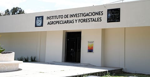 Abierta convocatoria para ingresar a la Maestría en Producción Agropecuaria de la UMSNH