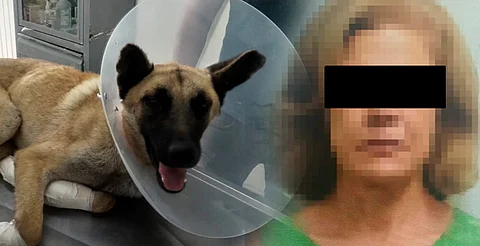 A la cárcel mujer que arrastró con su camioneta a perrito en Jalisco