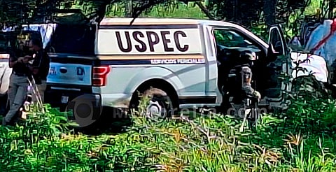 Michoacán: hallan cadáver en huerta de aguacates