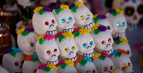Segundo Festival de la Calaverita: Una celebración de la tradición y la cultura local: SEFECO