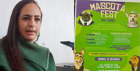 Anuncian "Mascota fest", el mejor disfraz en perros o gatos recibirá 3 mil pesos