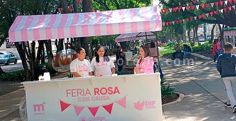 No dejes de apoyar a la Feria Rosa con Causa