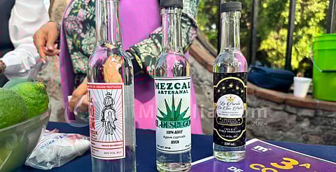 Realizarán Expo Campesina en Morelia; habrá productos a precios bajos