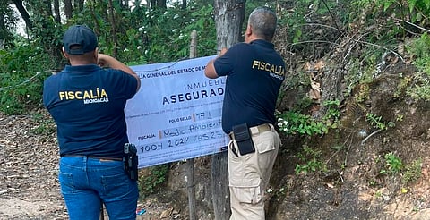 FGE asegura predio relacionado en plantación ilegal de aguacate en Michoacán