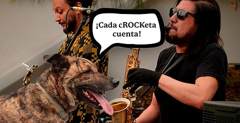 Morelia: rockea y ayuda a animalitos de la calle en el Crocketón, este sábado