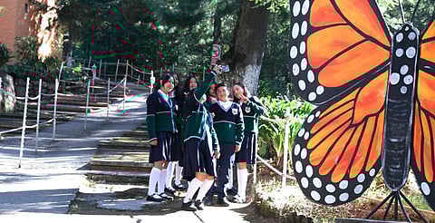 Abren Santuarios de la Monarca; se esperan miles de turistas