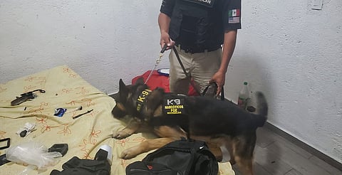 Aseguran sustancia con apariencia de narcótico y detiene a una persona en Morelia