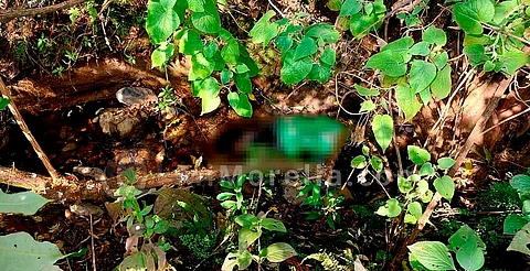 Michoacán: lo hallan muerto en un barranco luego de desaparecer tras ir a un baile