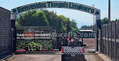 Megaoperativo en Tierra Caliente michoacana: protegen cadena productiva de Limón