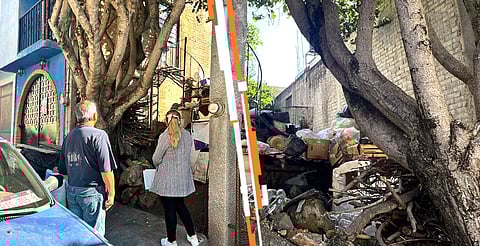 Atiende SSM denuncias sanitarias por acumulamiento de basura en viviendas