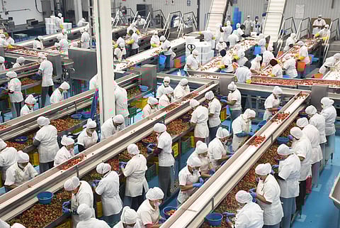 Michoacán logra cifra histórica en empleos formales; casi 496 mil