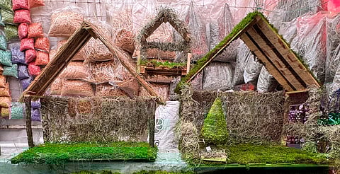 El heno, un adorno navideño en riesgo por la sobreexplotación