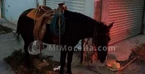 Muere jinete al caer de su caballo, en Zitácuaro, Michoacán