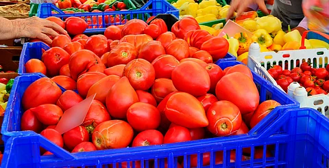 Habrá este miércoles el primer tianguis de productos agropecuarios en Morelia