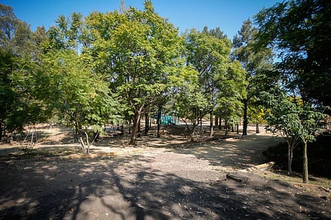 Empresas, universidades y gobierno se unen por el Parque Ecológico en Morelia