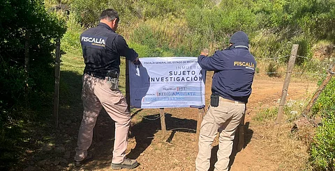 Catean predio relacionado en delitos contra el ambiente; se detectó plantación de aguacate