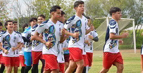 Zorros reanuda actividades
