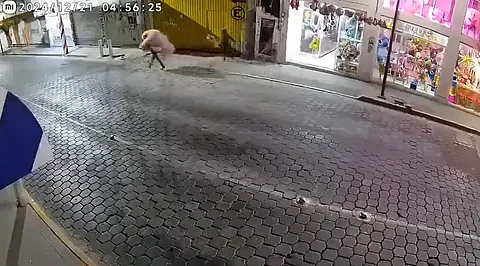 ¡Lo tuvo que sacar cargando! Pareja roba enorme oso de peluche en Tehuacán, Puebla