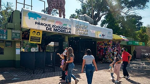 No proyectan aumento en los boletos de acceso del Zoológico de Morelia para 2025