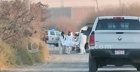 Hallan hombre asesinado en camino de terracería, en Morelia