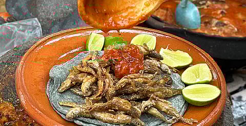 Cocina tradicional de Michoacán fue protegida y promovida en 2024