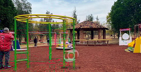 Rescate de ojo de agua, dentro de la segunda etapa de Espazio 200: Sedum