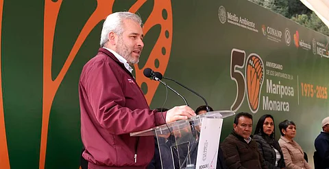 Guardián Forestal vigila permanentemente la Reserva de la Biósfera de la Mariposa Monarca: Bedolla
