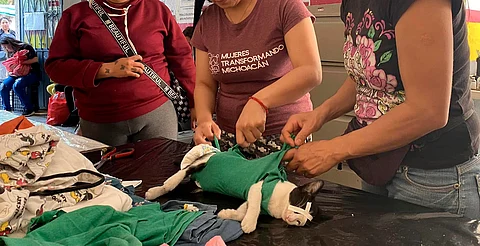 Mujeres lideran 9 de cada 10 refugios animalistas en Michoacán
