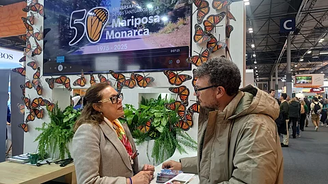 Michoacán cautiva en el último día de la Fitur 2025 en España